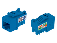 Nexxt Keystone Jack Cat6 UTP Azul | Conexión Redes Rápida