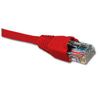 NXT UTP Patch Cord Cat6 1m CM - ROJO