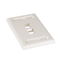 Panduit Mounts & Wall Plates - Panduit NetKey Faceplate 02 p